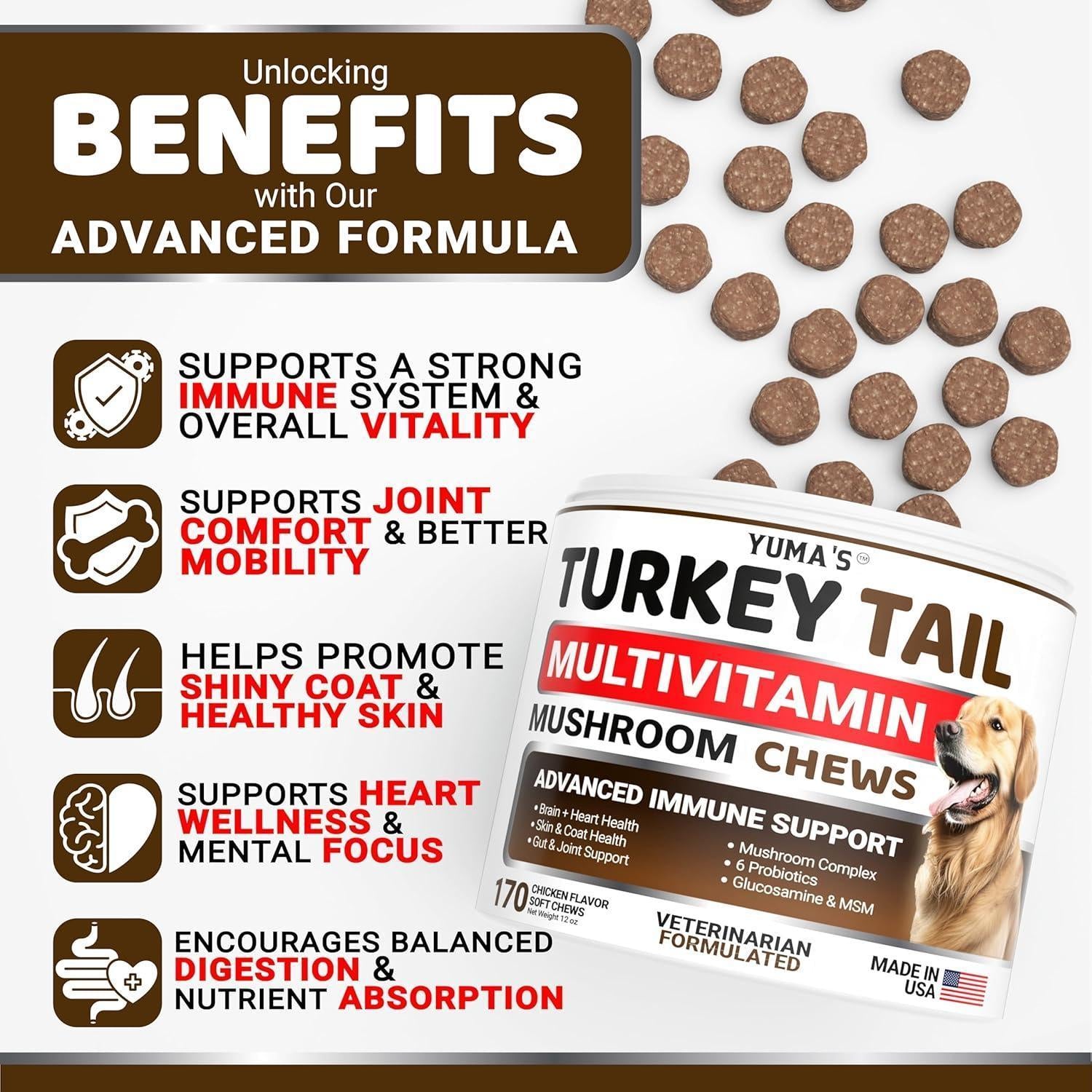 Turkey Tail Mushroom for Dogs Multivitamin Supplement Immune Support