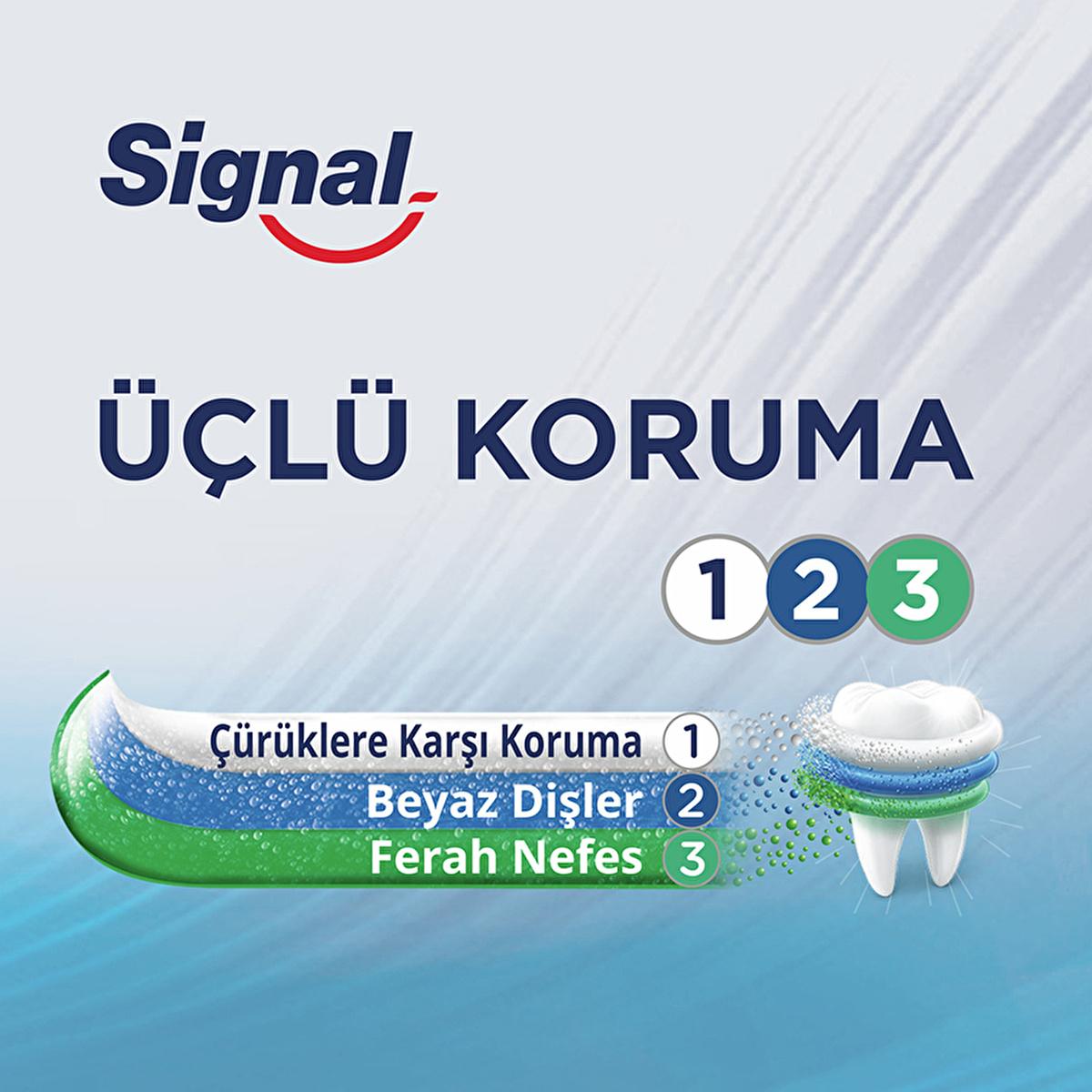 Signal Toothpaste Triple Protection with Fluoride & Calcium - 4.06 fl oz - Fresh Minty Flavor