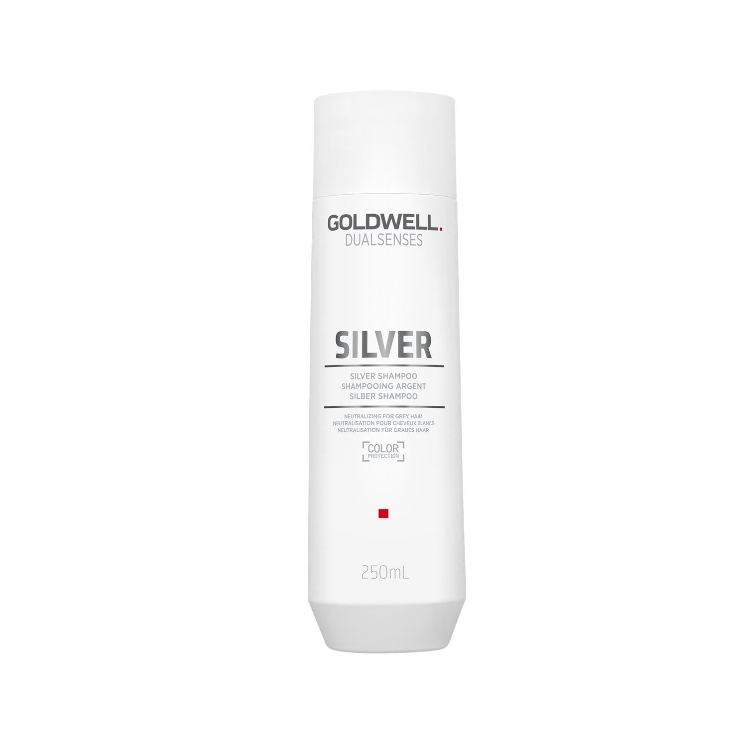 Goldwell Dualsenses Purple Shampoo for Gray & Blonde Hair - Color Balancing, Toning, and Nourishing Formula