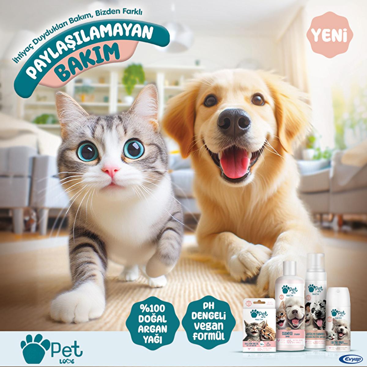 Pet Love Argan Oil Shampoo for Cats and Dogs - Natural, Gentle, and Effective Pet Care