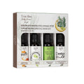 True Bee Hair Care Set - 4 Natural Oils for Nourishment and Repair