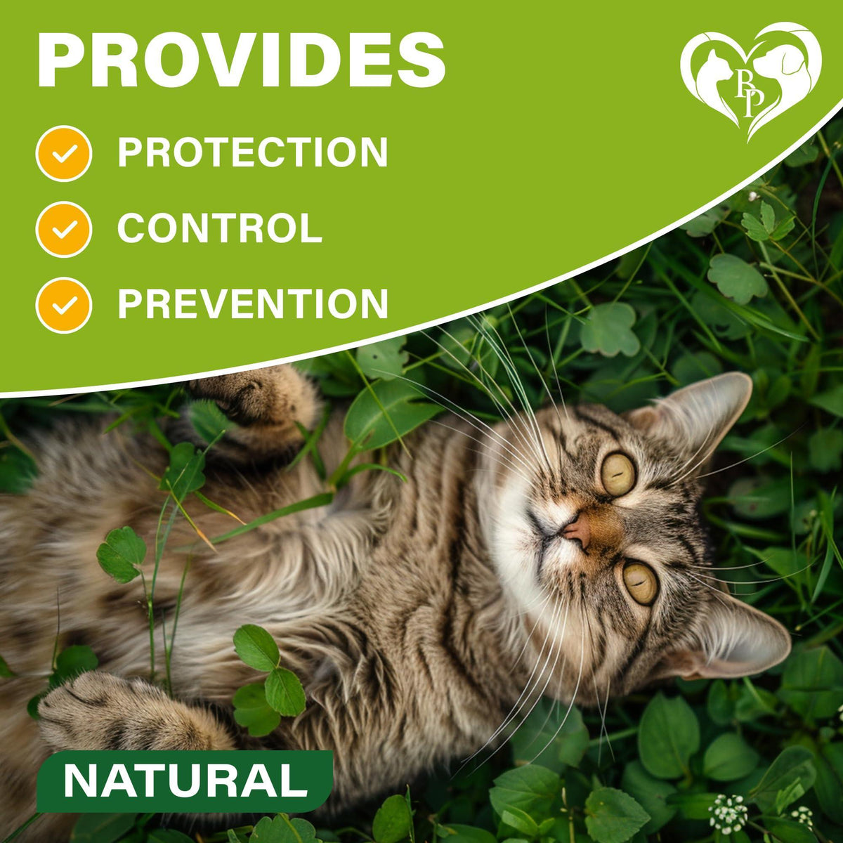 Flea & Tick Collar for Cats 12-Month Protection Essential Oil 1 Count