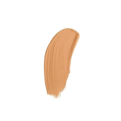 Pastel Silky Dream Foundation: Full Coverage, Long Lasting, Hydrating Liquid Foundation for a Flawless, Natural Finish (30ml)