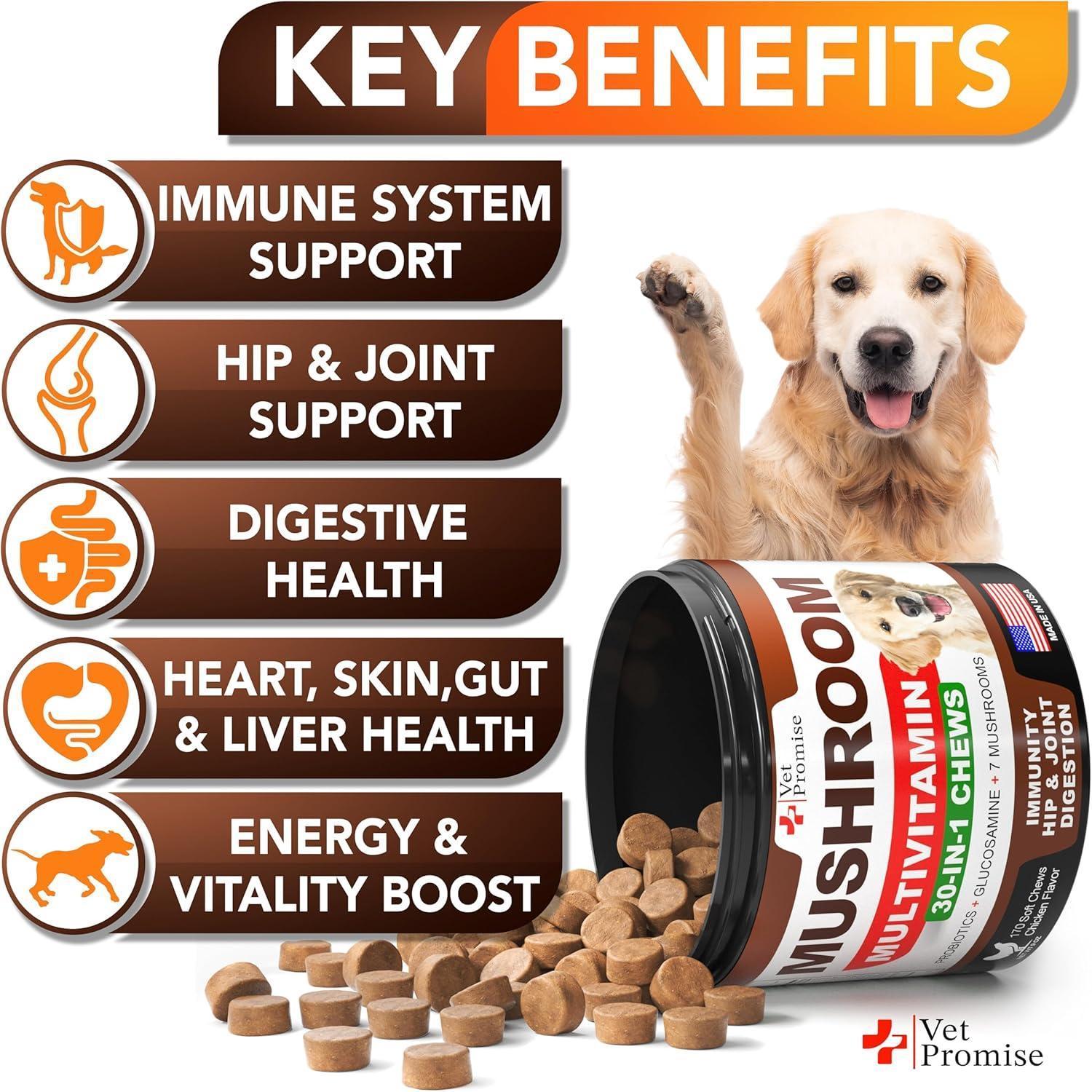 Mushroom Chews for Dogs 170 Count Turkey Tail Lion's Mane & Reishi