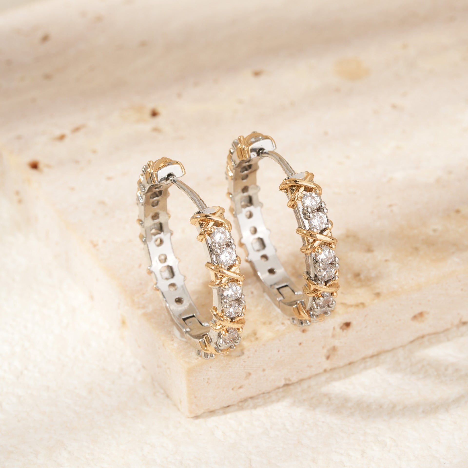 Fashionable Niche High-end Earrings