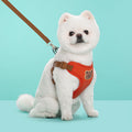 Outing Dog Leash Pet Strap