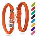 Rolled Leather Dog Collar XSmall Dogs 8–10 in Neck Orange