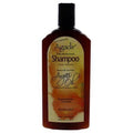 Agadir Argan Oil Daily Moisturizing Shampoo 12.4 oz