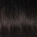APPLAUSE - Wig by Raquel Welch 100% Human Hair