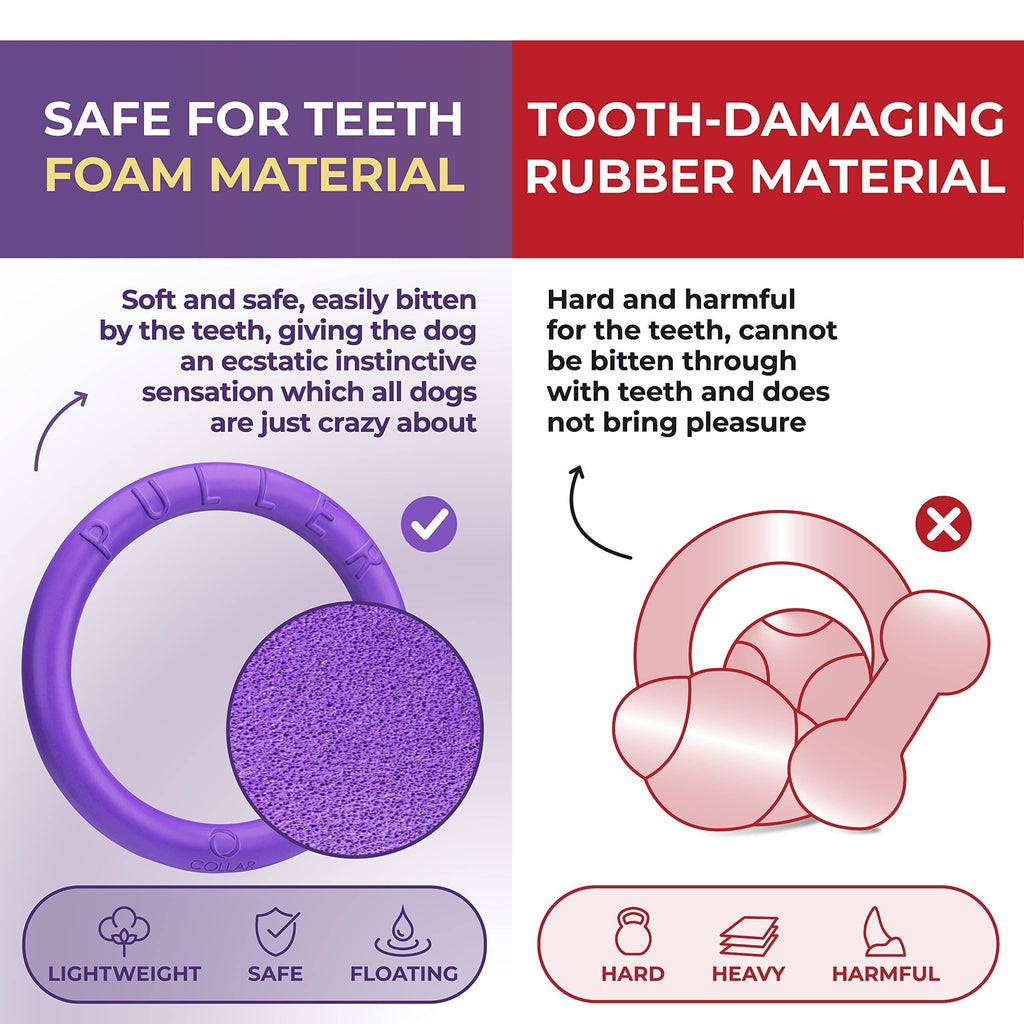 Dog Ring Fetch Toy Small Dogs Mini Size 2 Rings Purple