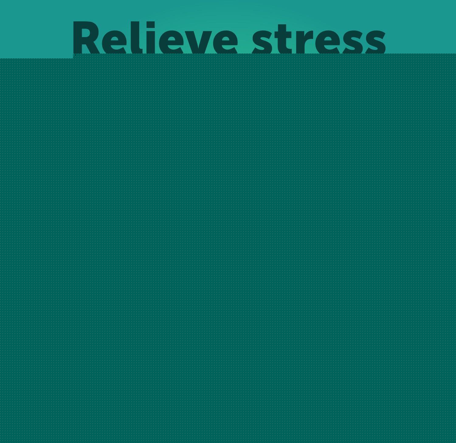 Calming Chews for Dogs 120 Count Anxiety Relief Turmeric & Valerian