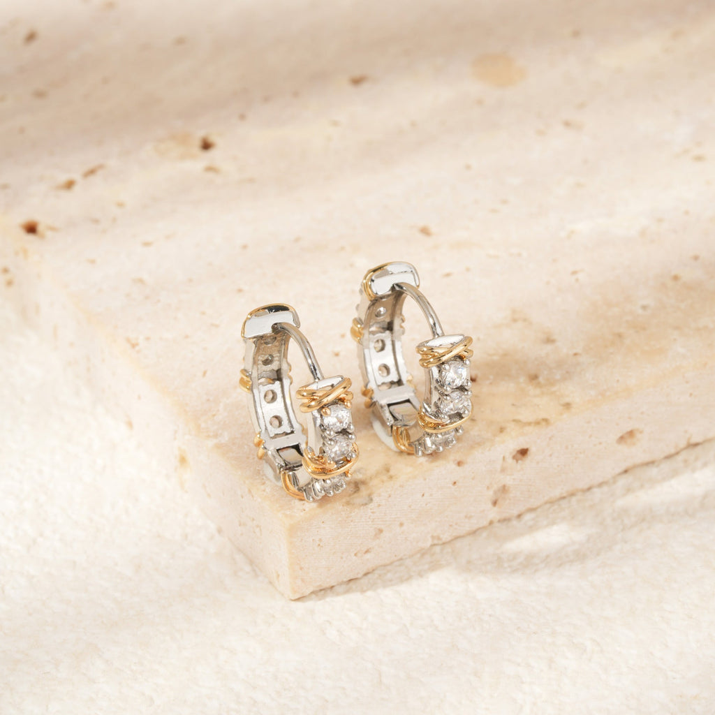 Fashionable Niche High-end Earrings