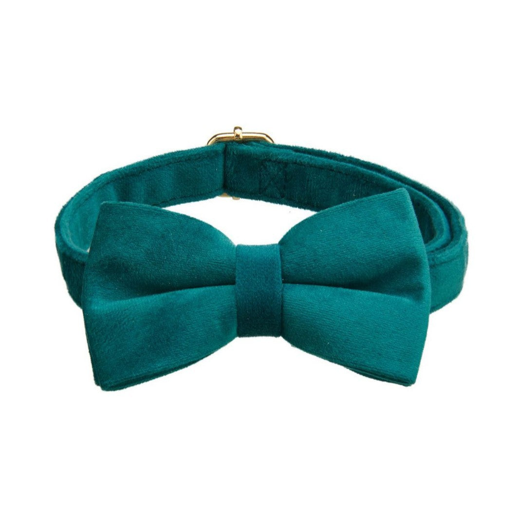 Peacock Blue Velvet Pet Neck Alloy Buckle Collar
