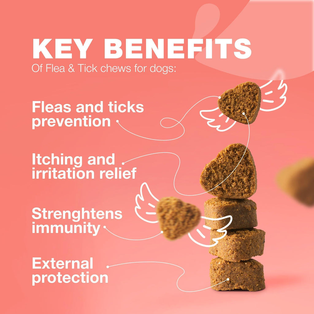 Dog Insects Treatment Chews Insects Control
