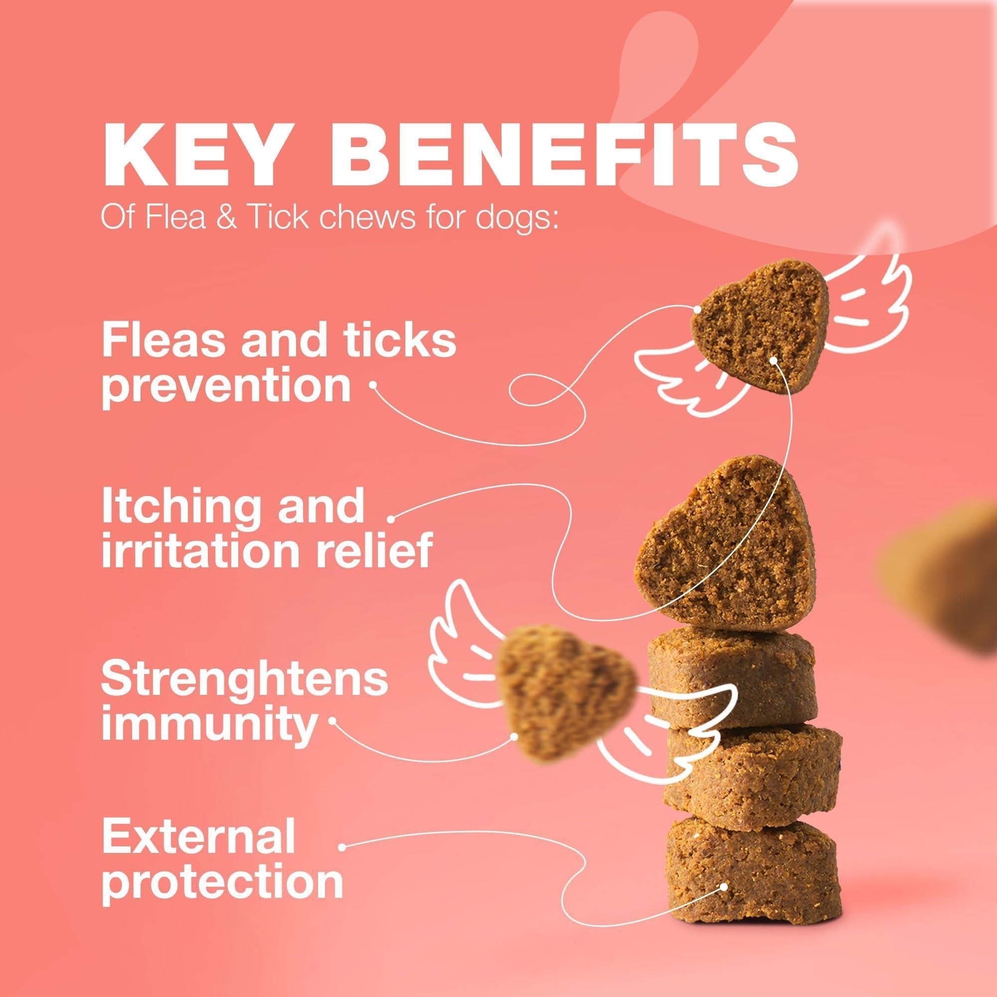 Dog Insects Treatment Chews Insects Control