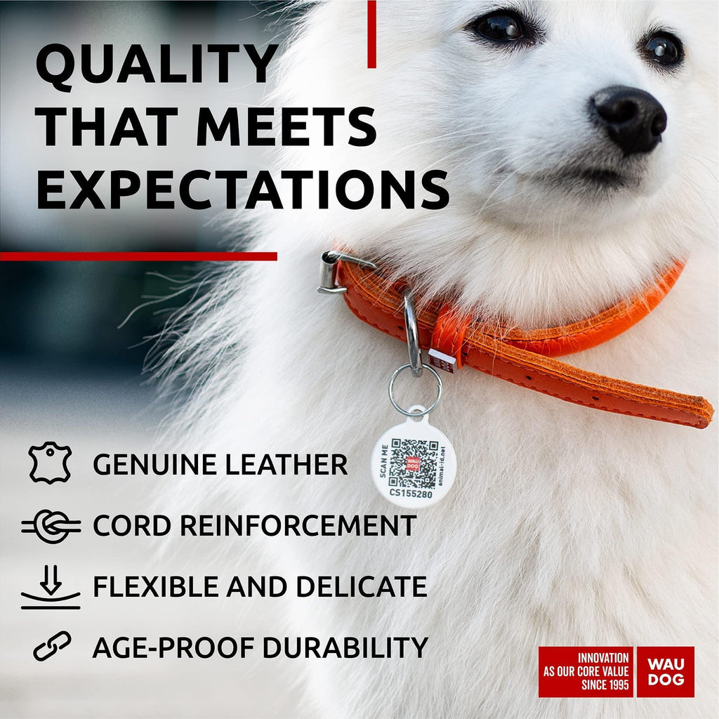 Rolled Leather Dog Collar XSmall Dogs 8–10 in Neck Orange