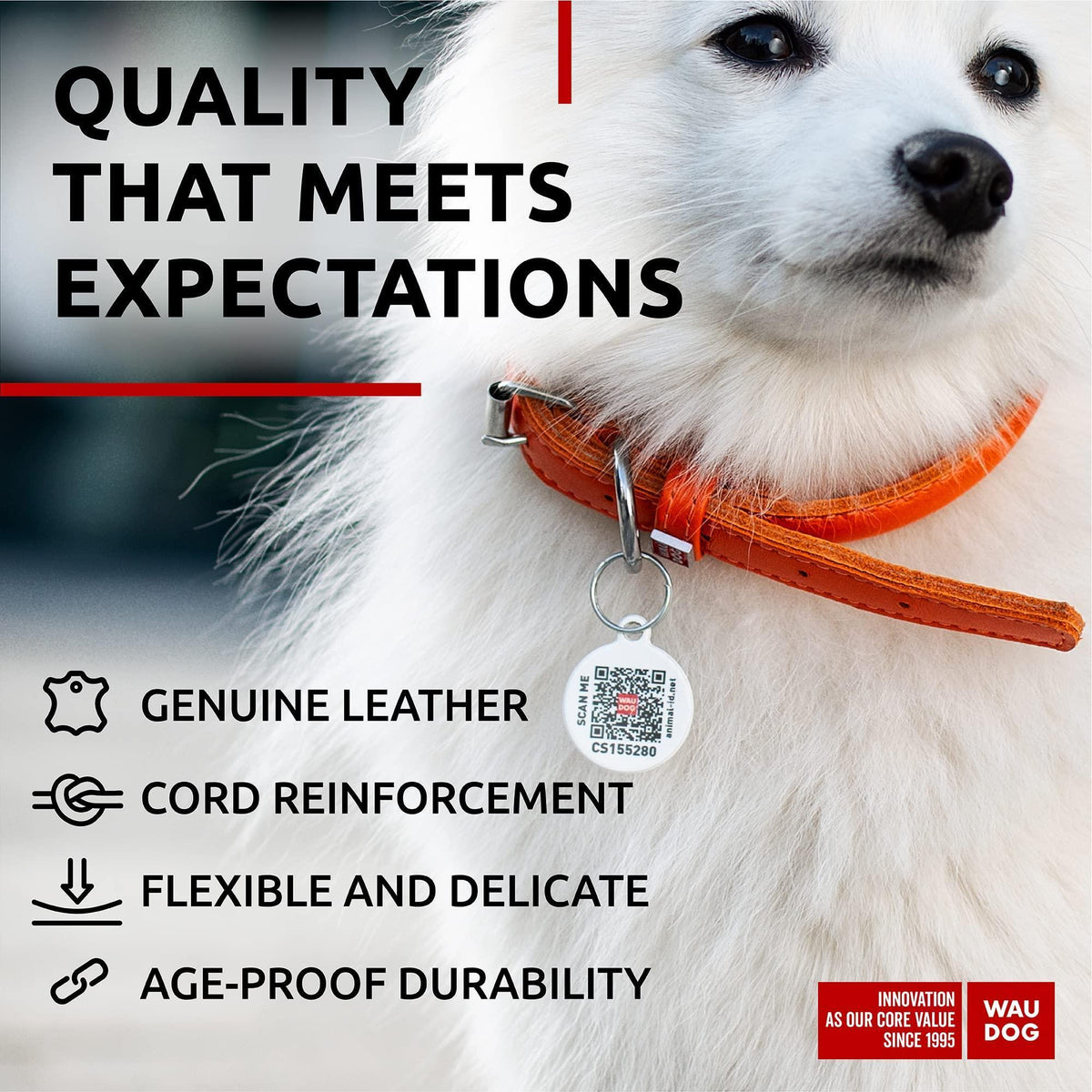 Rolled Leather Dog Collar XSmall Dogs 8–10 in Neck Orange