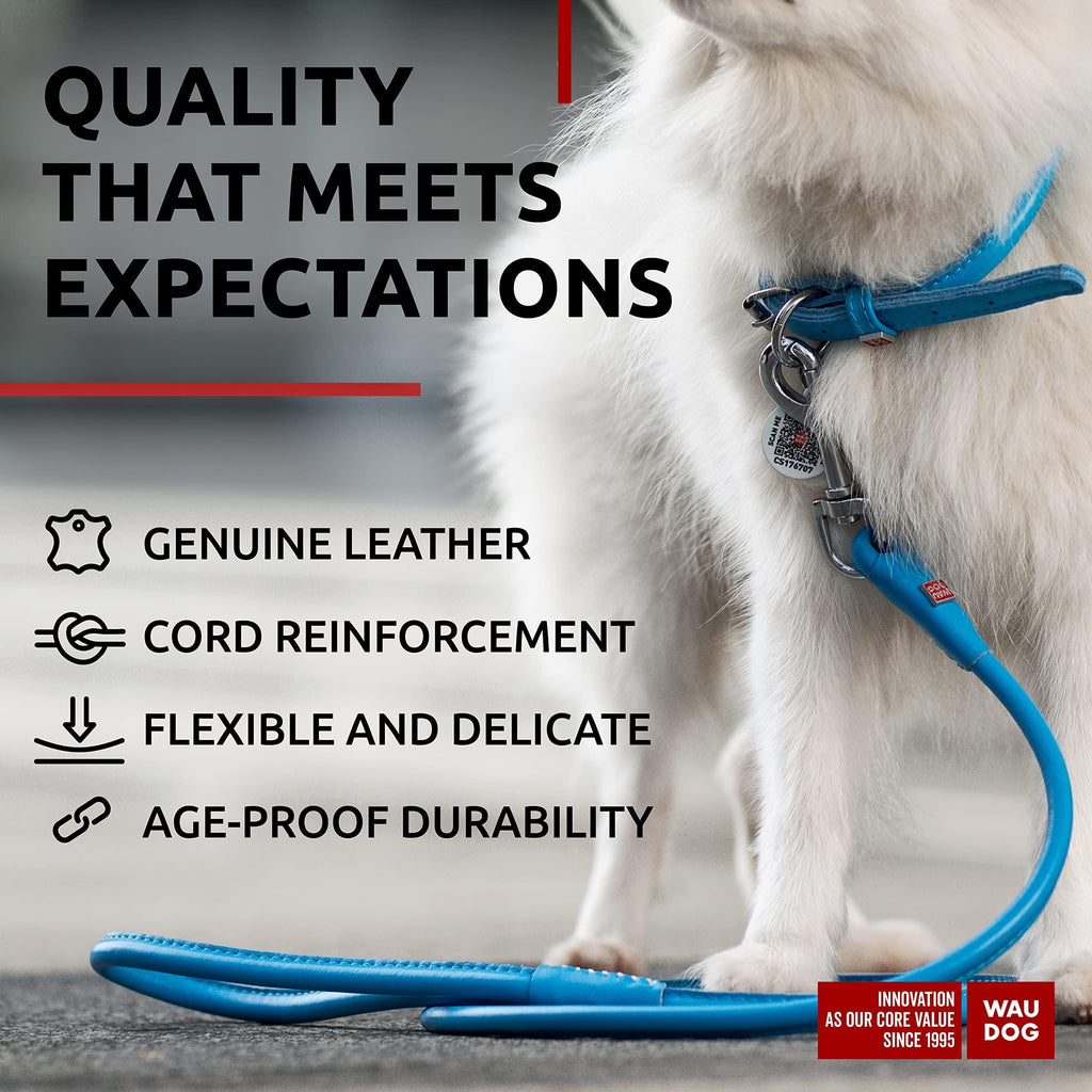 Rolled Leather Dog Leash 4 ft x 0.3 in All Sizes Blue