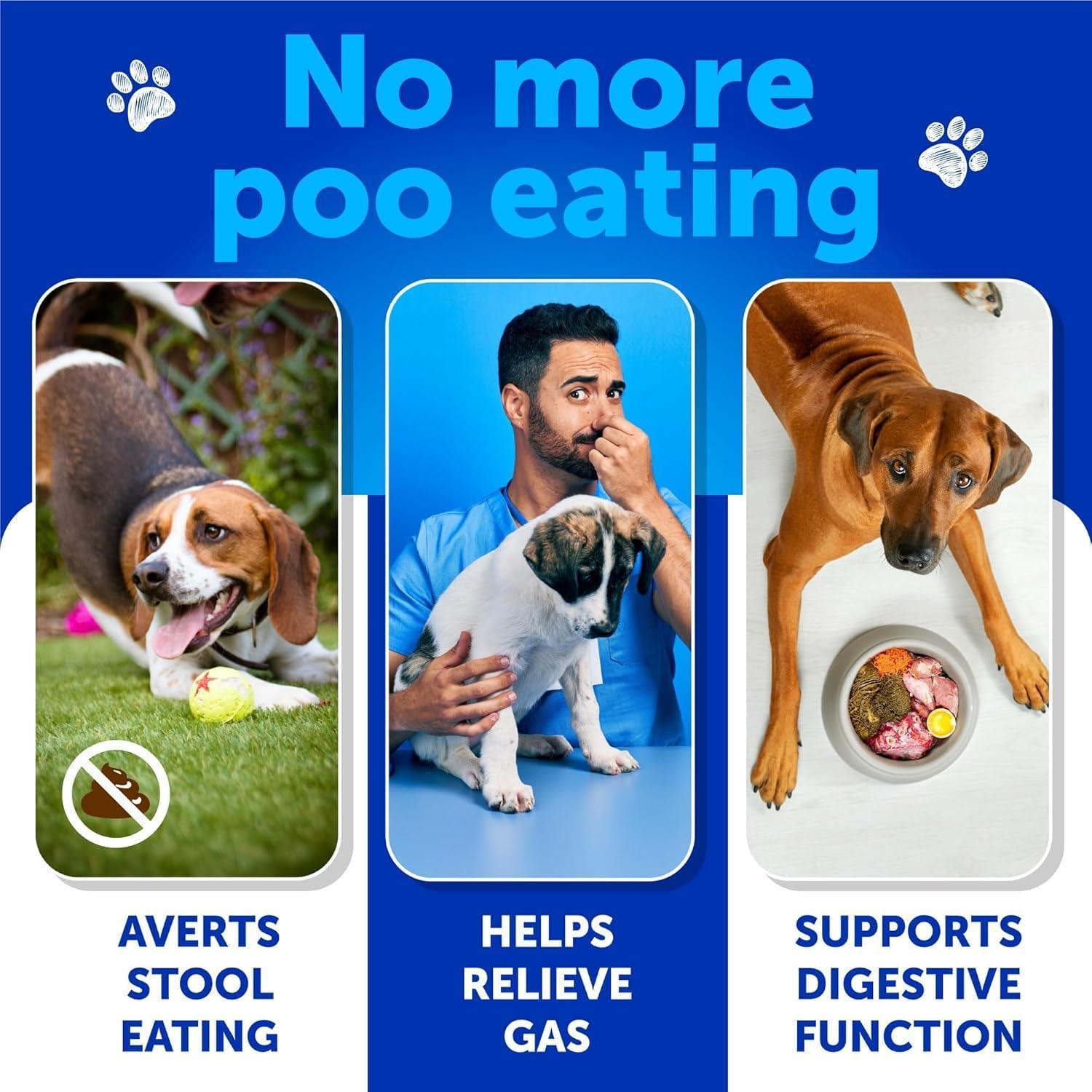 No Poo Chews for Dogs Coprophagia Stool-Eating Deterrent