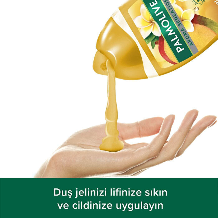 Palmolive Aroma Sensations Feel Good Shower Gel 16.9 Fl Oz - Natural Ingredients