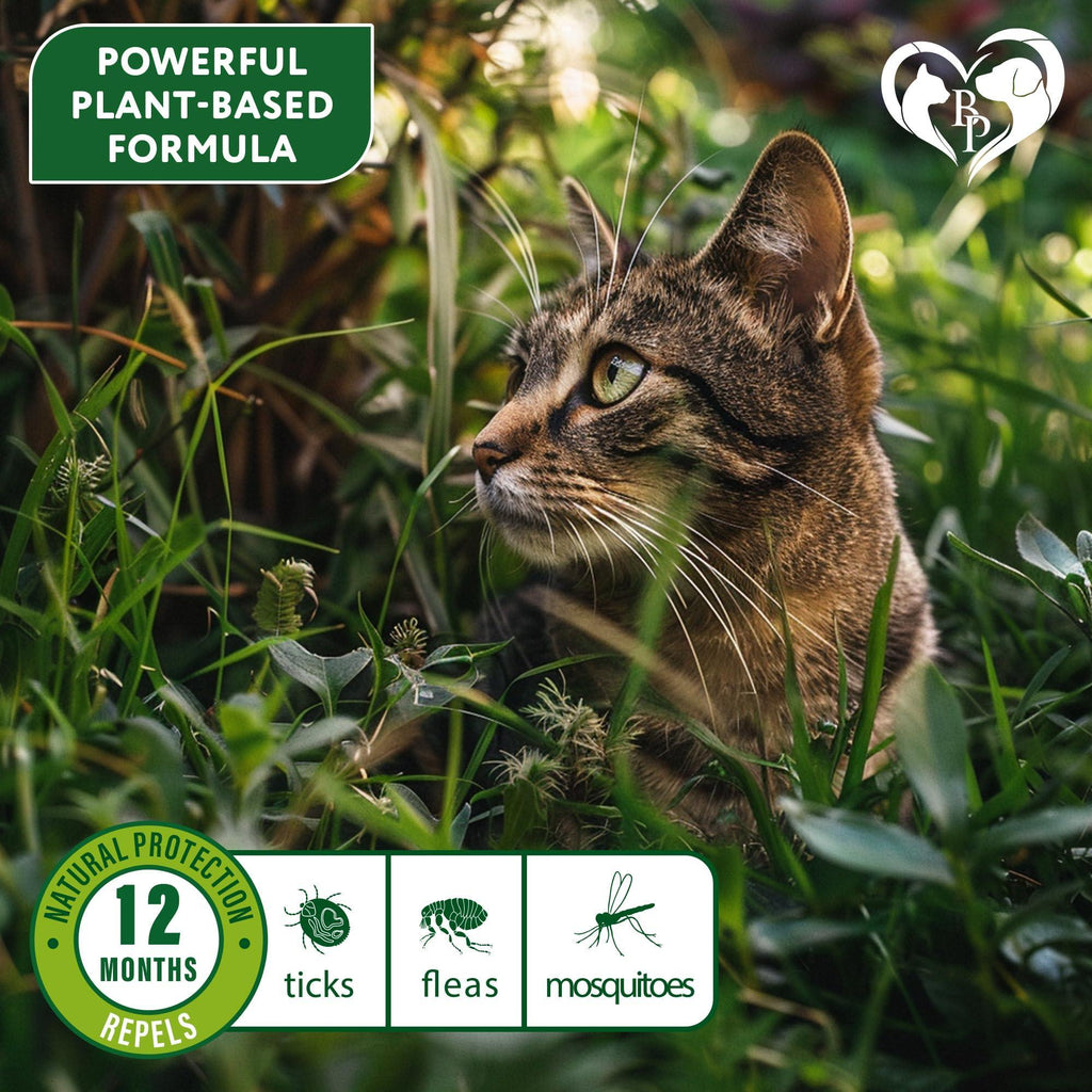 Flea & Tick Collar for Cats 12-Month Protection Essential Oil 1 Count