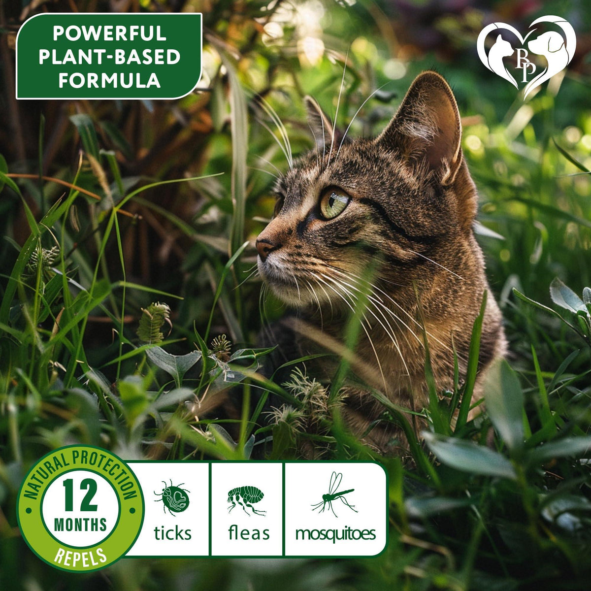 Flea & Tick Collar for Cats 12-Month Protection Essential Oil 1 Count