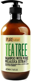 Tea Tree Shampoo Sulfate Free Anti Dandruff 16 Fl Oz Deep Cleanse for Oily and Itchy Scalp Buildup Remover Professional Oily Hair Salon Formula Paraben Free Shampoo for Women and Men