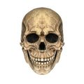 Halloween Movable Mouth Skull Mask Full Head Helmet