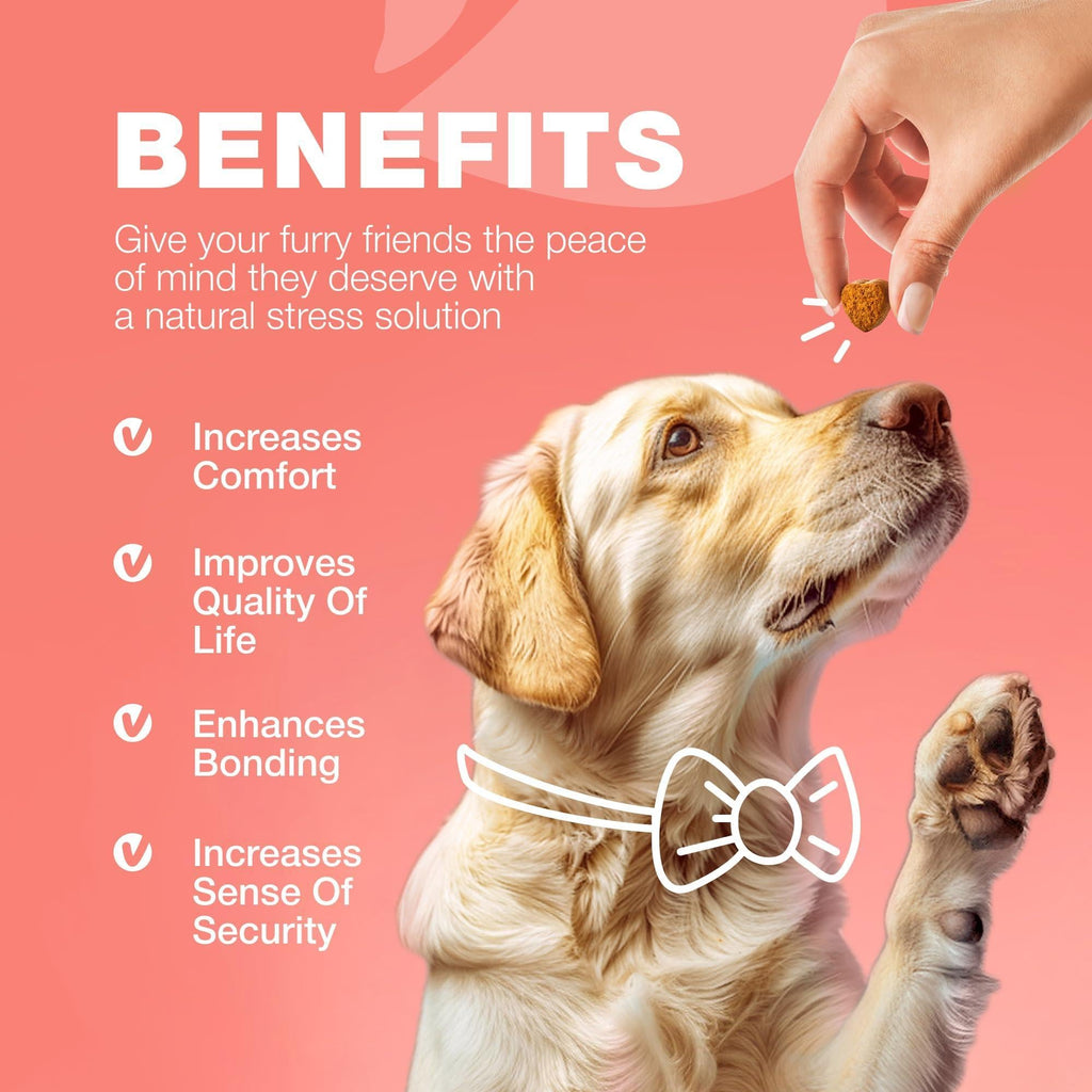 Dog Insects Treatment Chews Insects Control
