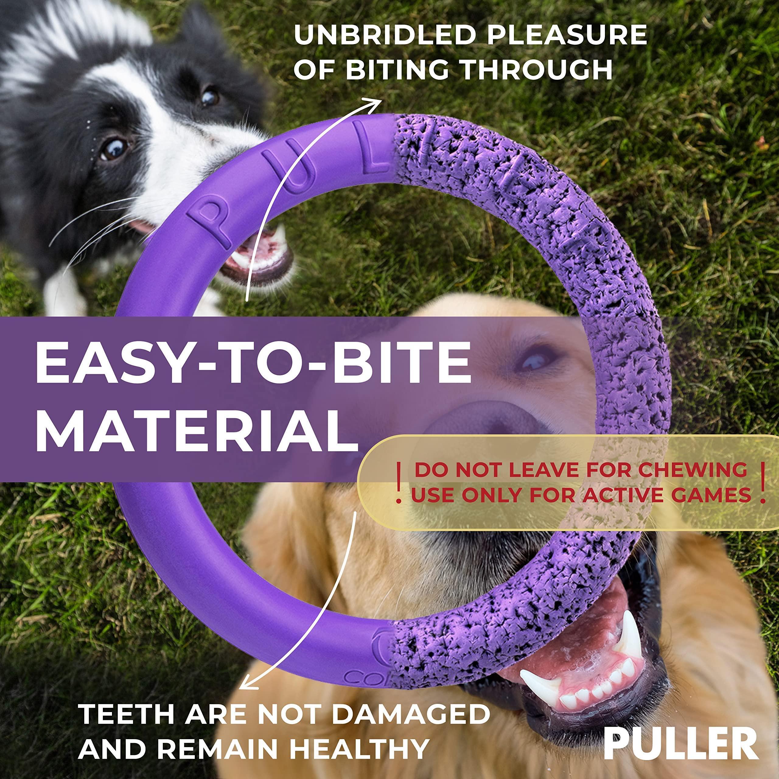 Dog Ring Fetch Toy Medium Dogs MIDI Size 2 Rings