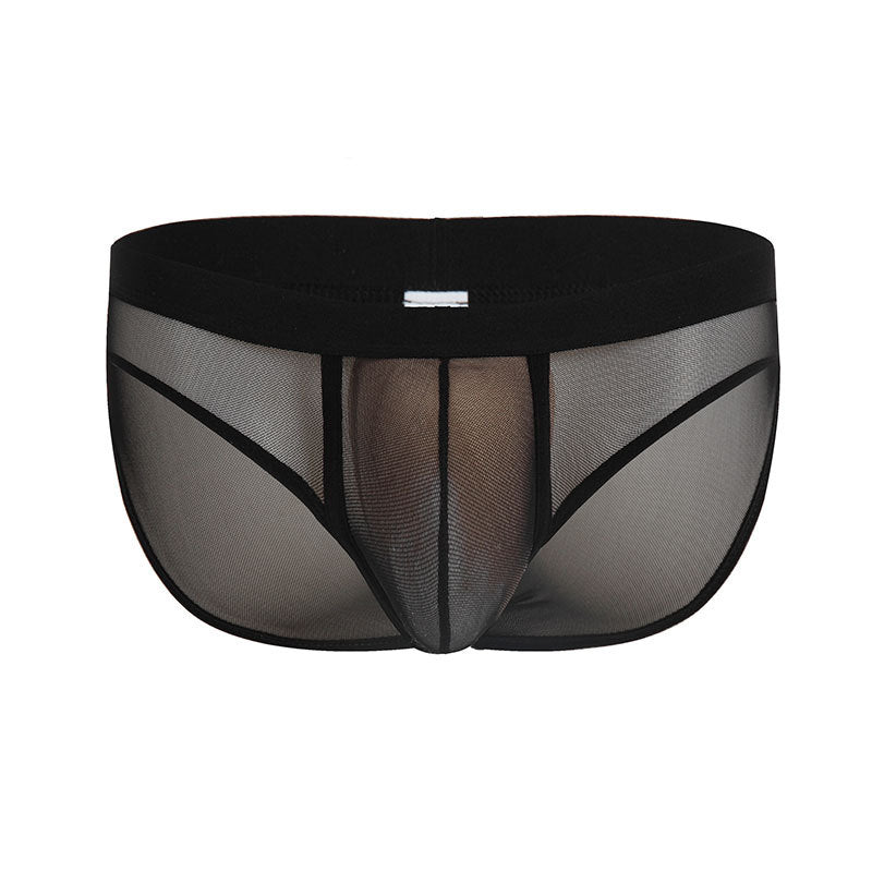 Low Waist Breathable Mesh Sexy Briefs Nylon Men