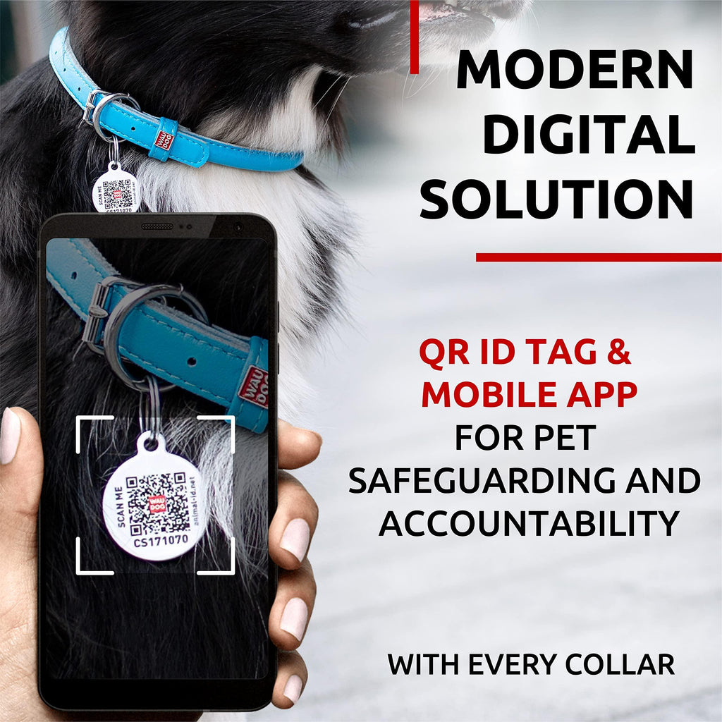 Rolled Leather Dog Collar Padded All Sizes 15–19 in Neck Blue