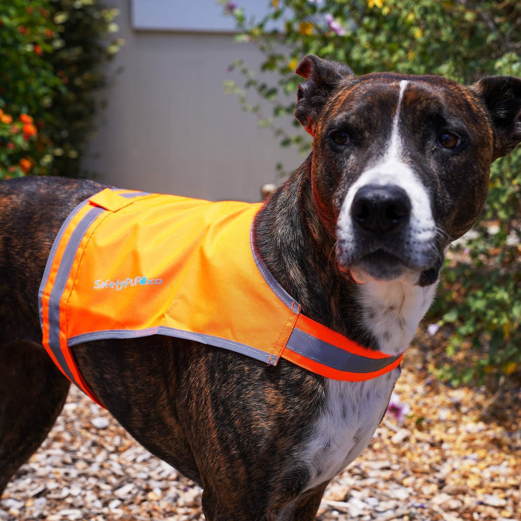 Lightweight Dog Vest M Size Mid-Back Coverage 26 in Chest x 21 in Neck