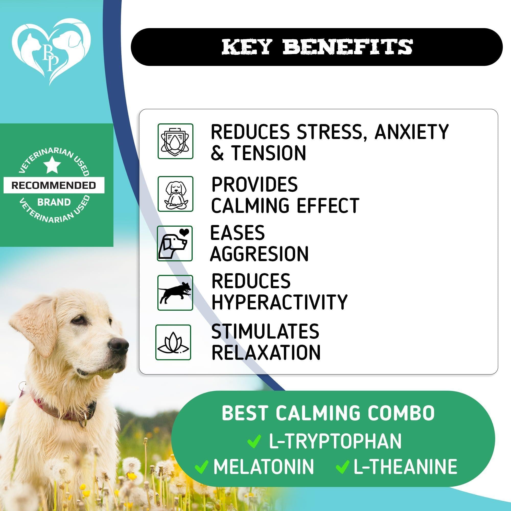 Hemp Calming Chews for Dogs Separation Anxiety Relief