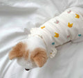 Spring Thin Cat Flying Sleeve Vest Dog Two Feet Apparel