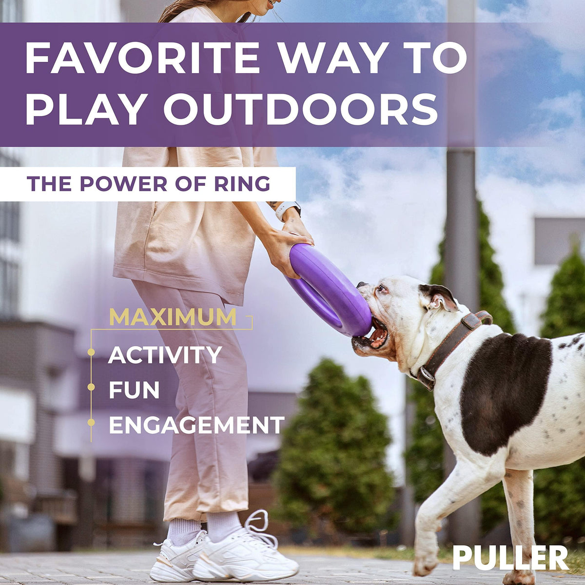Dog Ring Fetch Toy Large Dogs Maxi Size 1 Pc Purple