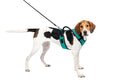 Petsafe Easysport Harness Teal Lg