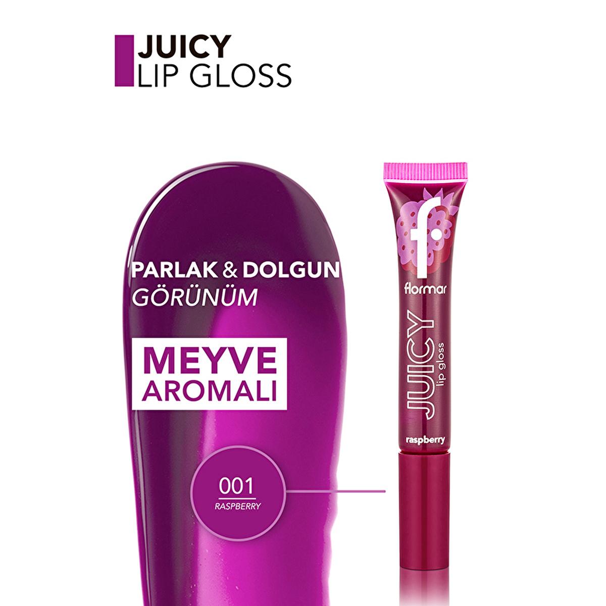 Flormar Juicy Lip Gloss - Moisturizing, Natural Color, Fruit Flavored - Lip Care for Dry Lips