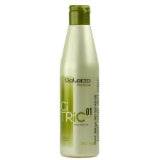 Salerm Citric Balance 01 Shampoo (9 oz)