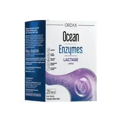 Ocean Enzymes Lactase Damla 20 Ml - Lactase Enzyme Supplement Drops for Lactose Intolerance Relief