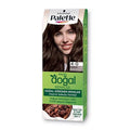 Palette Natural Colors Amber 4-0 Hair Dye: Long Lasting Color, Argan Oil Infused, Perfect Gray Coverage - Achieve Rich Natural Tones