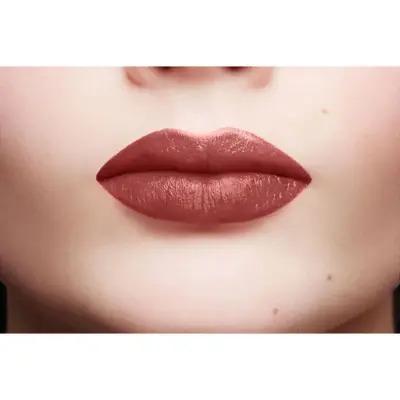 L'Oréal Paris Color Riche Lipstick - 107 Seine Sunset, Moisturizing Long-Lasting Lip Color